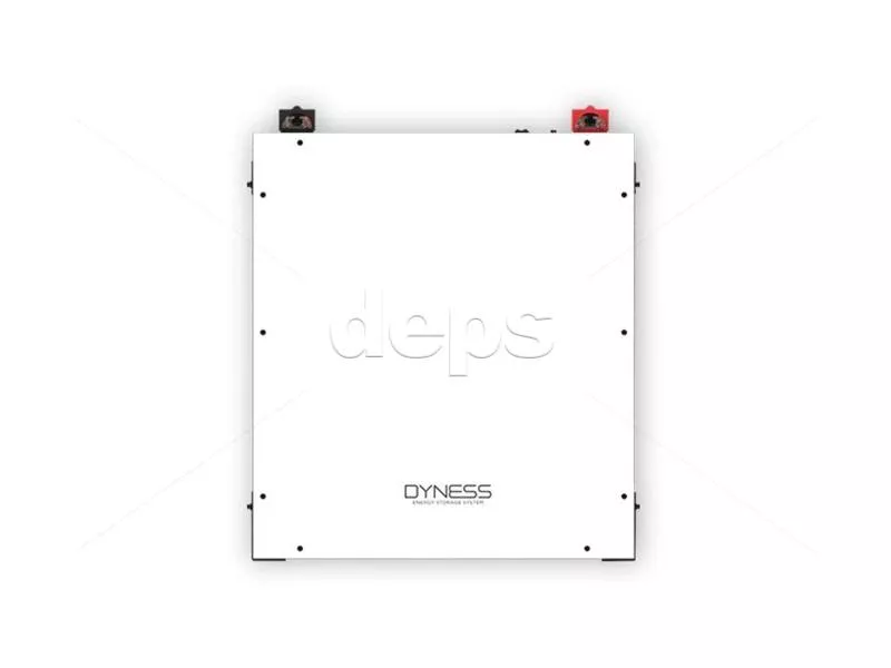 Аккумуляторный блок Dyness A48100 (LV/48V/100Ah/4.8kWh/LifePO4)