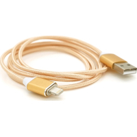 Дата кабель USB 2.0 to Lightning 1.0m 2A magnetic nylon gold Ninja (YT-MCFB-L/G/09166)