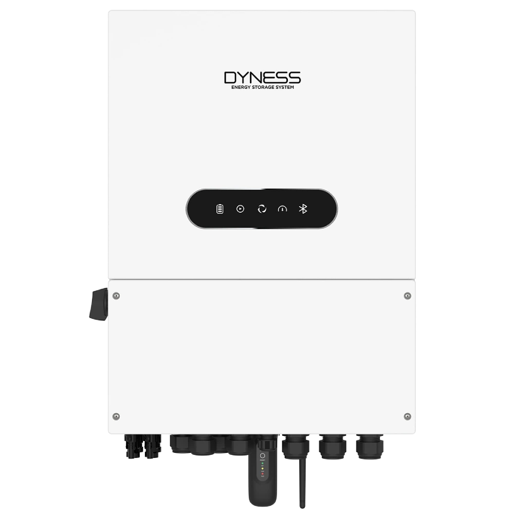 Dyness 6.0L-1P-A 6кВт 48В однофазний низьковольтний чиста синусоїда