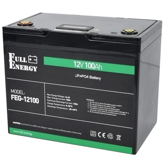 Full Energy FEG-12100 12В 100А•год 100А