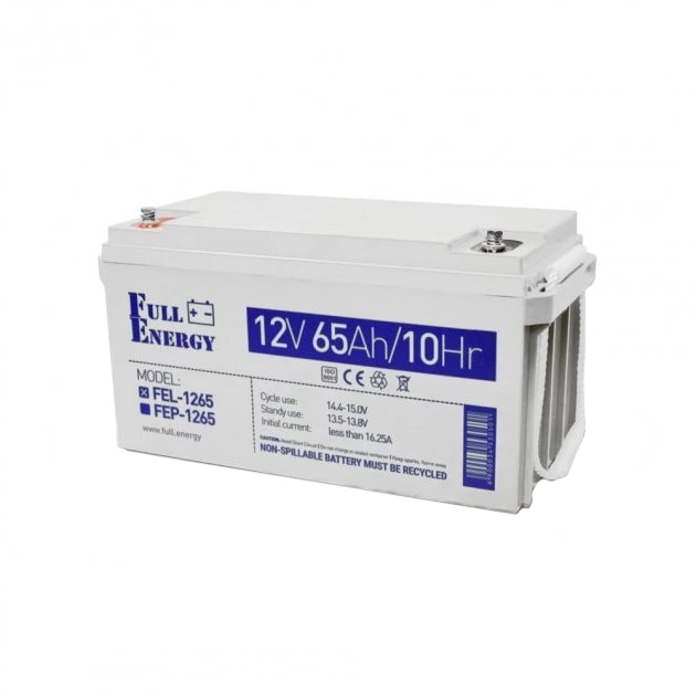 Full Energy FEL-1265 65А•г 12В гелева