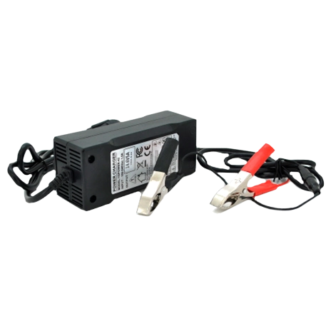 Merlion LiFePO4 12V(14,6V)-5A-60W