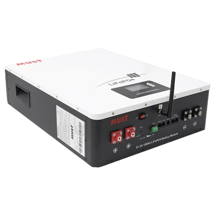 Must LP16-48100 51.2В 100А•г