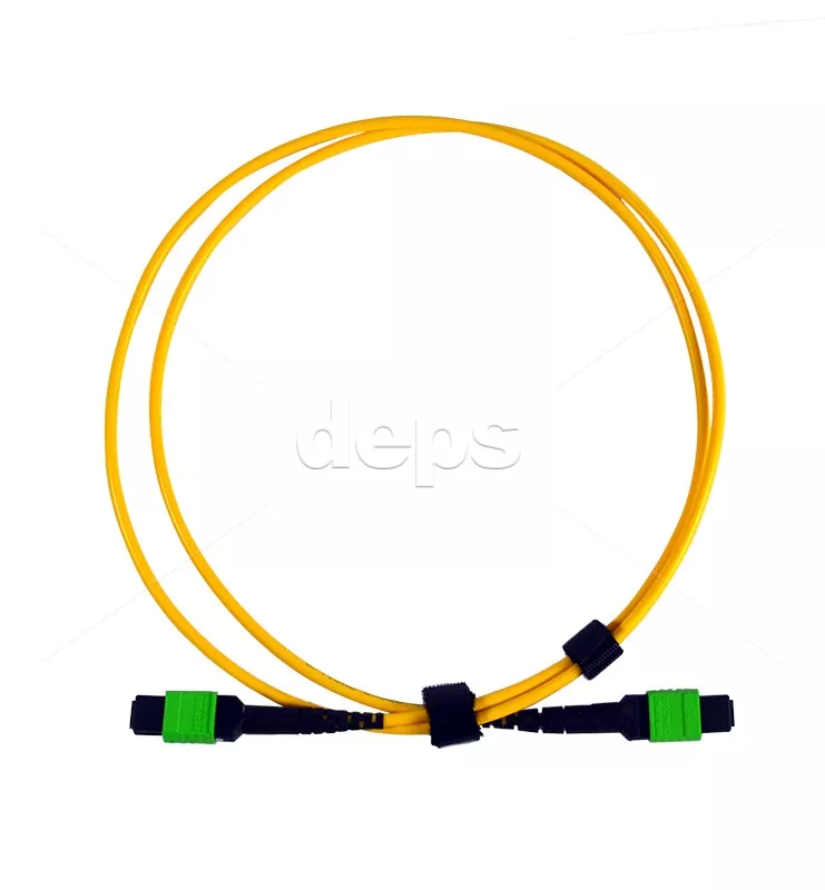Оптичні патчкорди MTP Patchcord MTP/MTP-8SMF-1