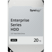 Жесткий диск для сервера Synology 3.5" 20TБ SAS 7200 (HAS5310-20T)